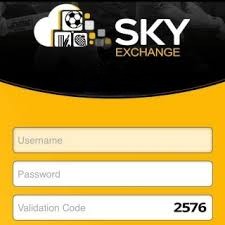 SkyExchange Access Guide