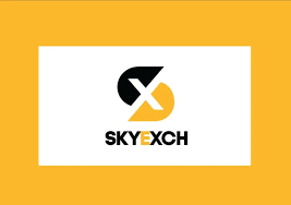 Overcoming SkyExchange Login Issues